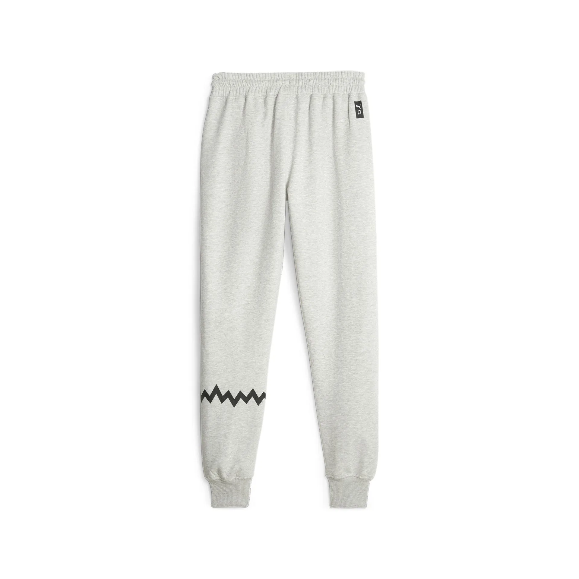 PUMA Hoops Team Sweat Pants